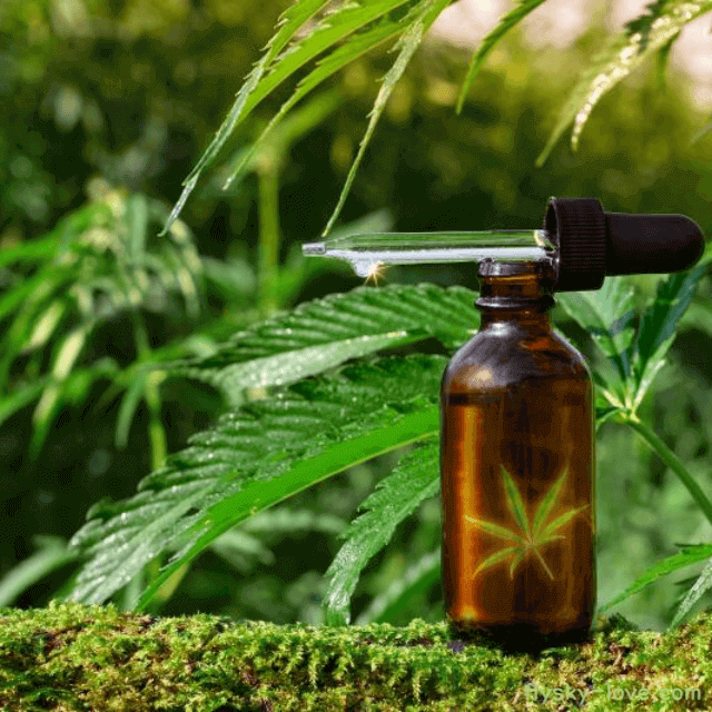 대마종자유 효능