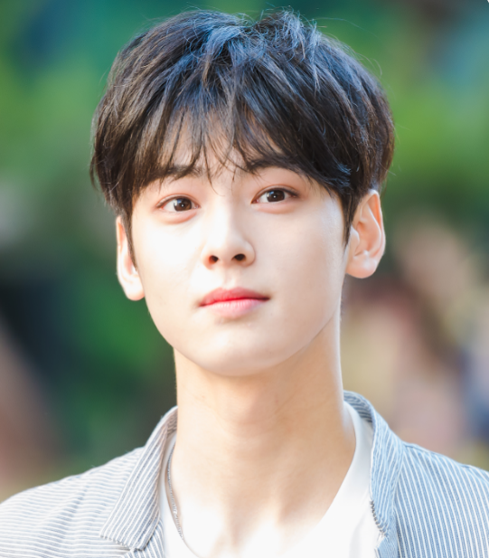 차은우 군악대 입대