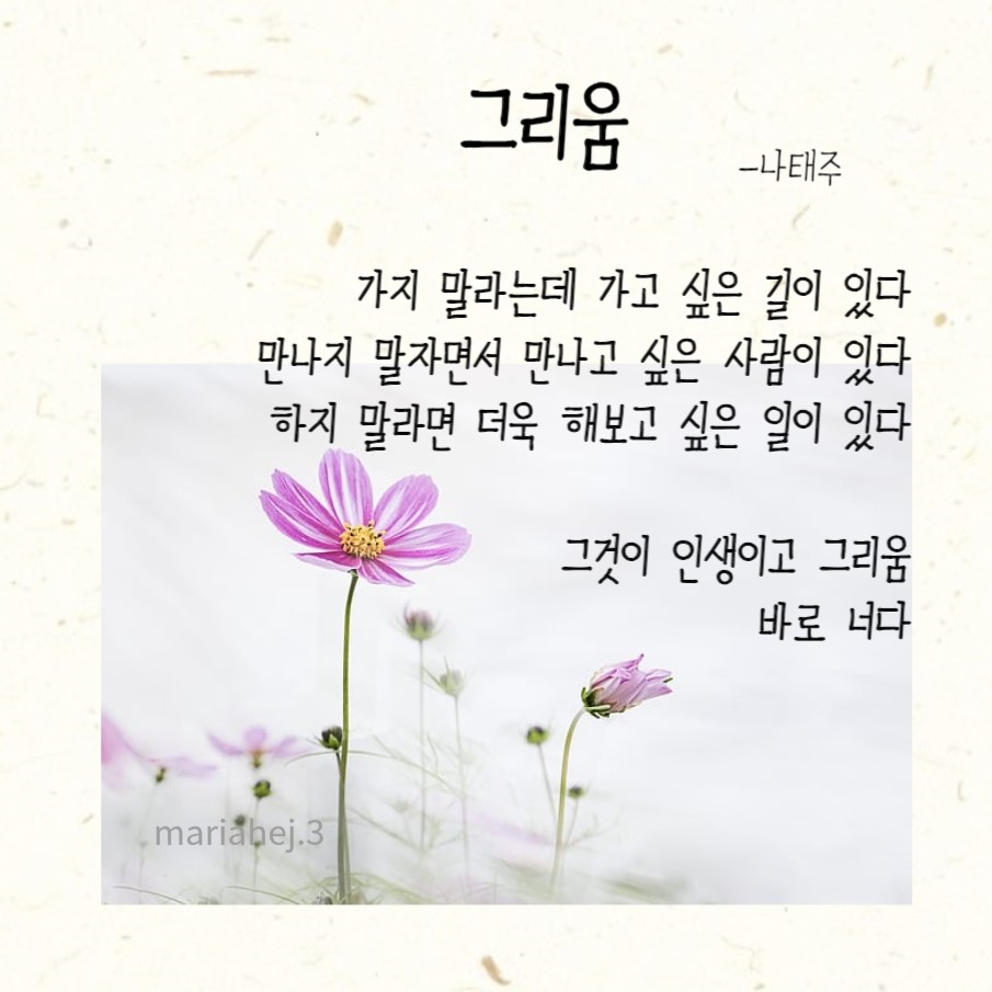 나태주 시인의 '그리움'