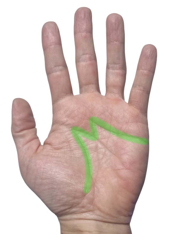 부자들 손금의 공통점? 돈을 만지는 손금(M자, 삼지창, 막쥔금, 재물선, 사업선)