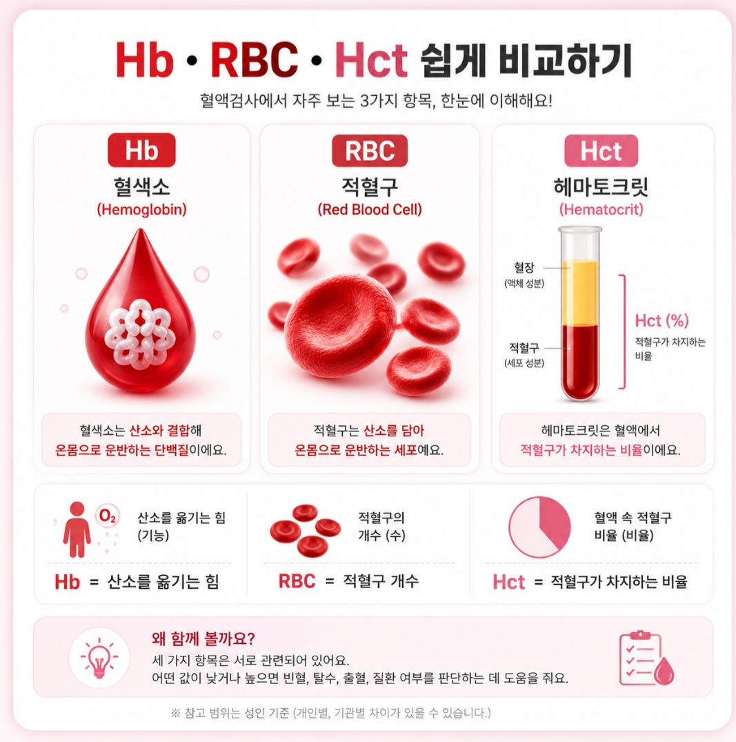 혈액검사 혈색소, 적혈구, 헤마토크릿 비교