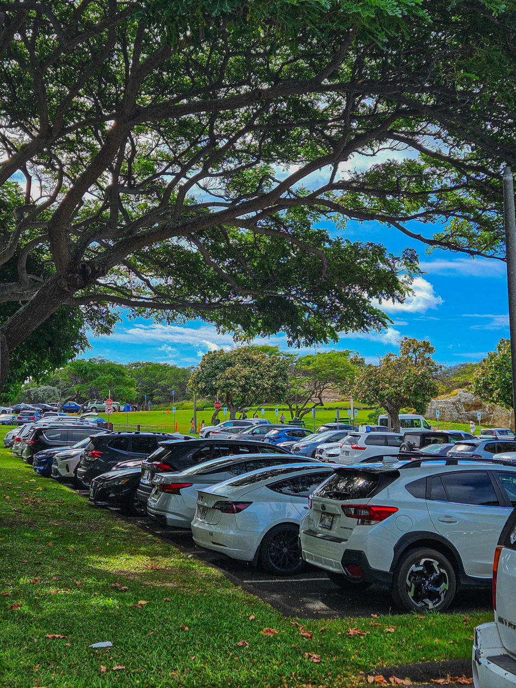 하나우마베이 주차장