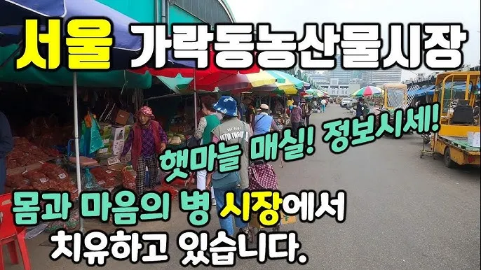 가락동 농산물 경매시세 실시간 확인 완벽 농산물 정보_1