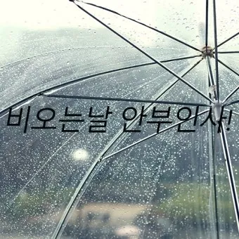 비오는날 안부 인사 건강 챙기는 말 안전 운전 당부 문장_6
