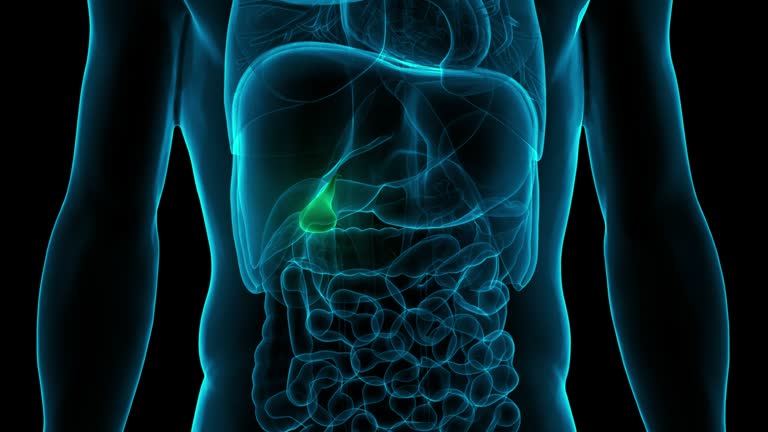 담낭암 증상과 원인? 조기 발견이 생존율을 높인다!