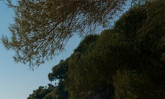 50대를 위한 디지털 노마드 창업을 상징하는 해안가 작업 공간