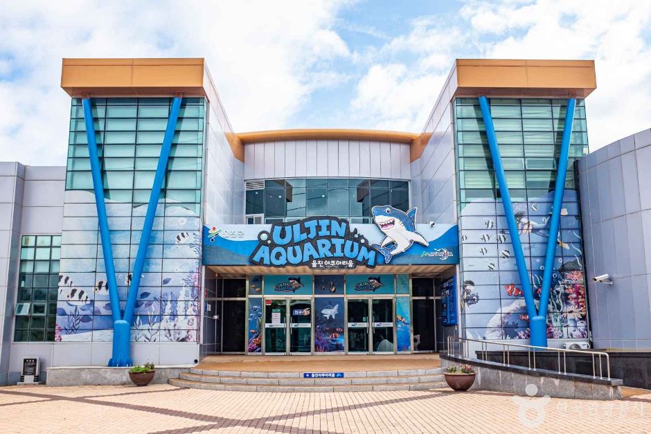 울진 가볼만한곳 베스트10