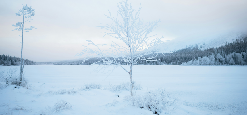 갑자일주 X 기사일주 궁합 완벽 정리