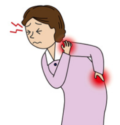 갱년기 증상 원인 도움되는 음식