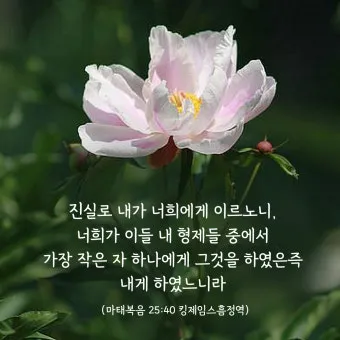 마태복음 25장 설교 아이디어 비유 말씀 강해_13