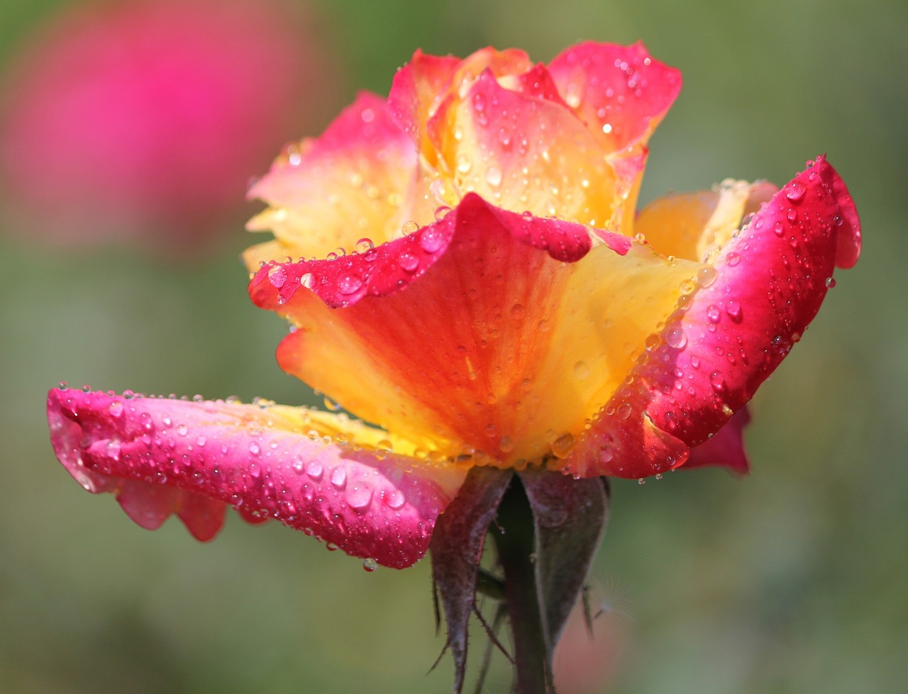 피부장벽 무너졌을때 회복템 리뷰 관련 사진