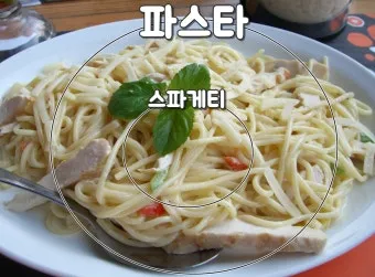 파스타 스파게티 차이에 대한 음식지식_15