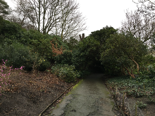 햄스테드 히스 공원&#44; 햄프스테드 히스&#44; hampstead heath park&#44; 영국 런던 공원&#44; 런던 산책&#44; 햄스테드 역&#44; 하이게이트