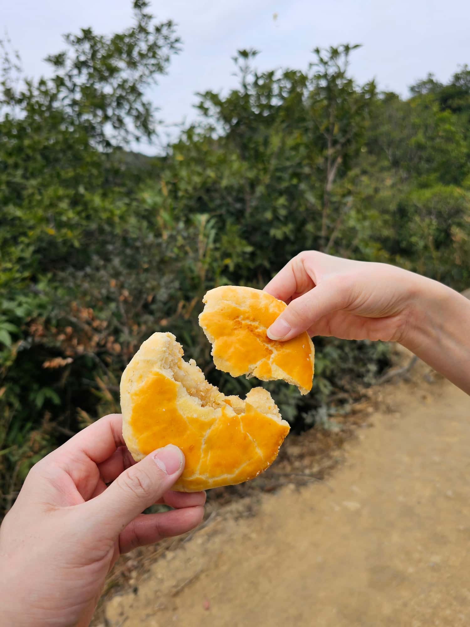 드래곤즈 백 후기