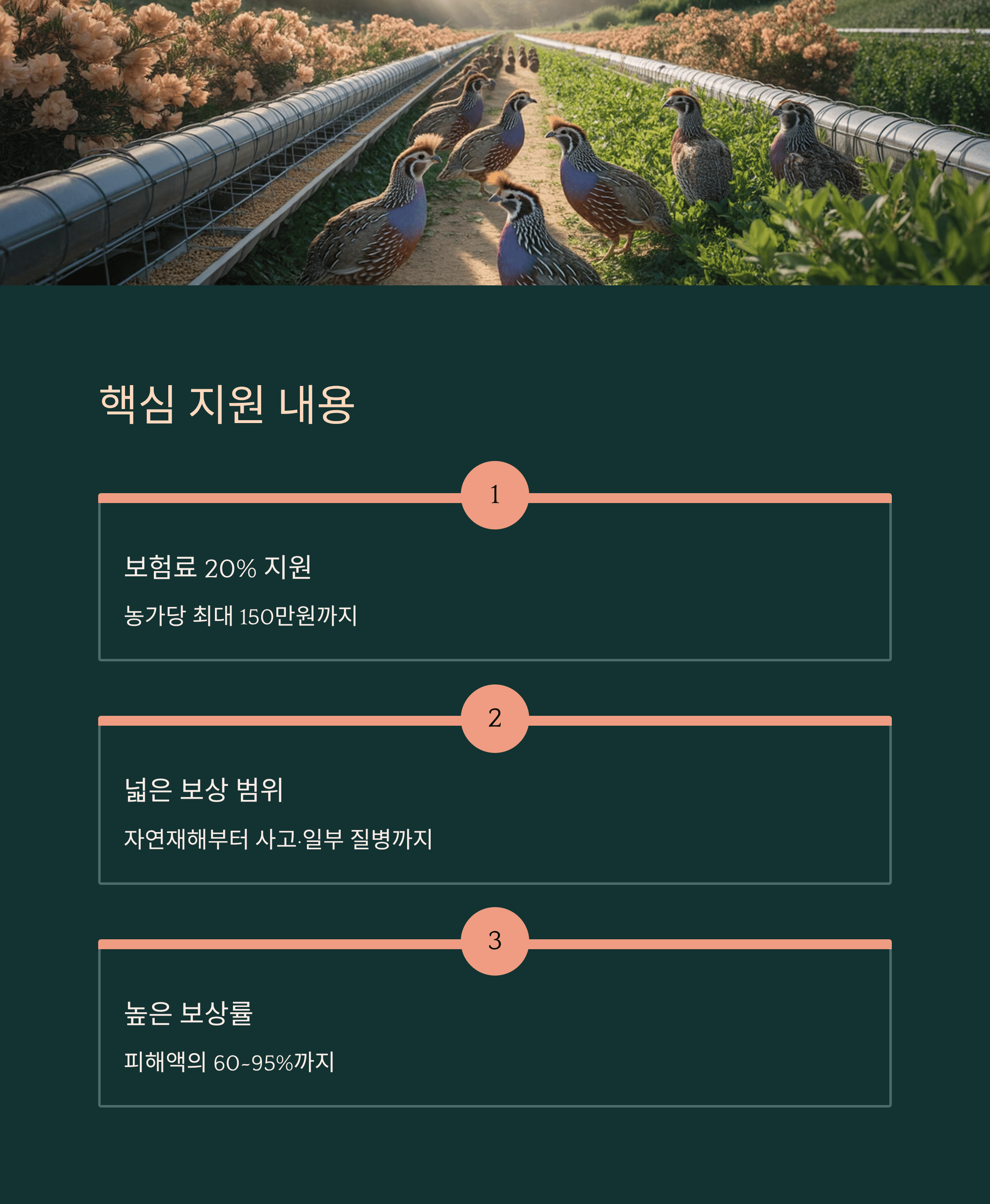 금산군 축산 농가 가축 재해 보험금 지원 핵심 지원 내용
