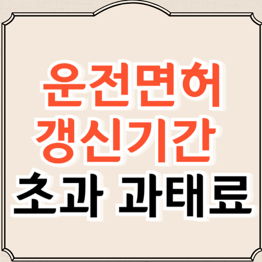 운전면허 갱신기간 초과 과태료