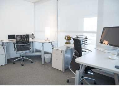 취업지원서비스