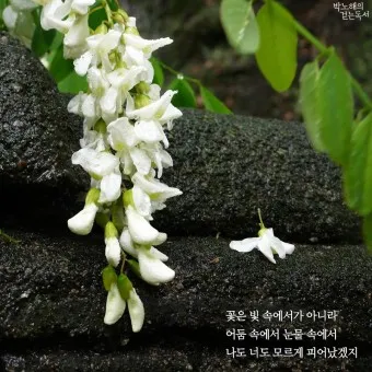 봄비 인사말 이미지 비오는날 일러스트_5