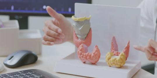 갑상선 기능저하증 증상 좋은 음식 수치 등 알아보기 (24년 Ver)