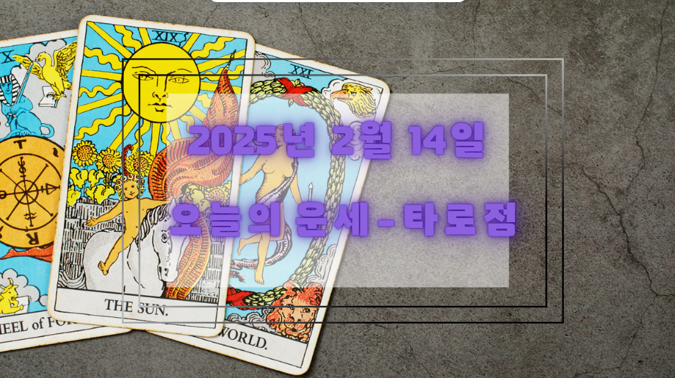 오늘의 타로 운세