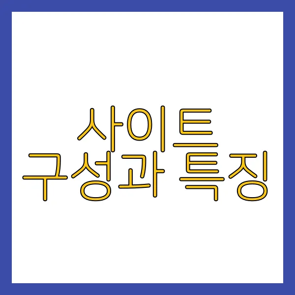 사이트 구성과 특징
