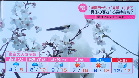 도쿄 날씨 예보(4월 1일~4월 6일)