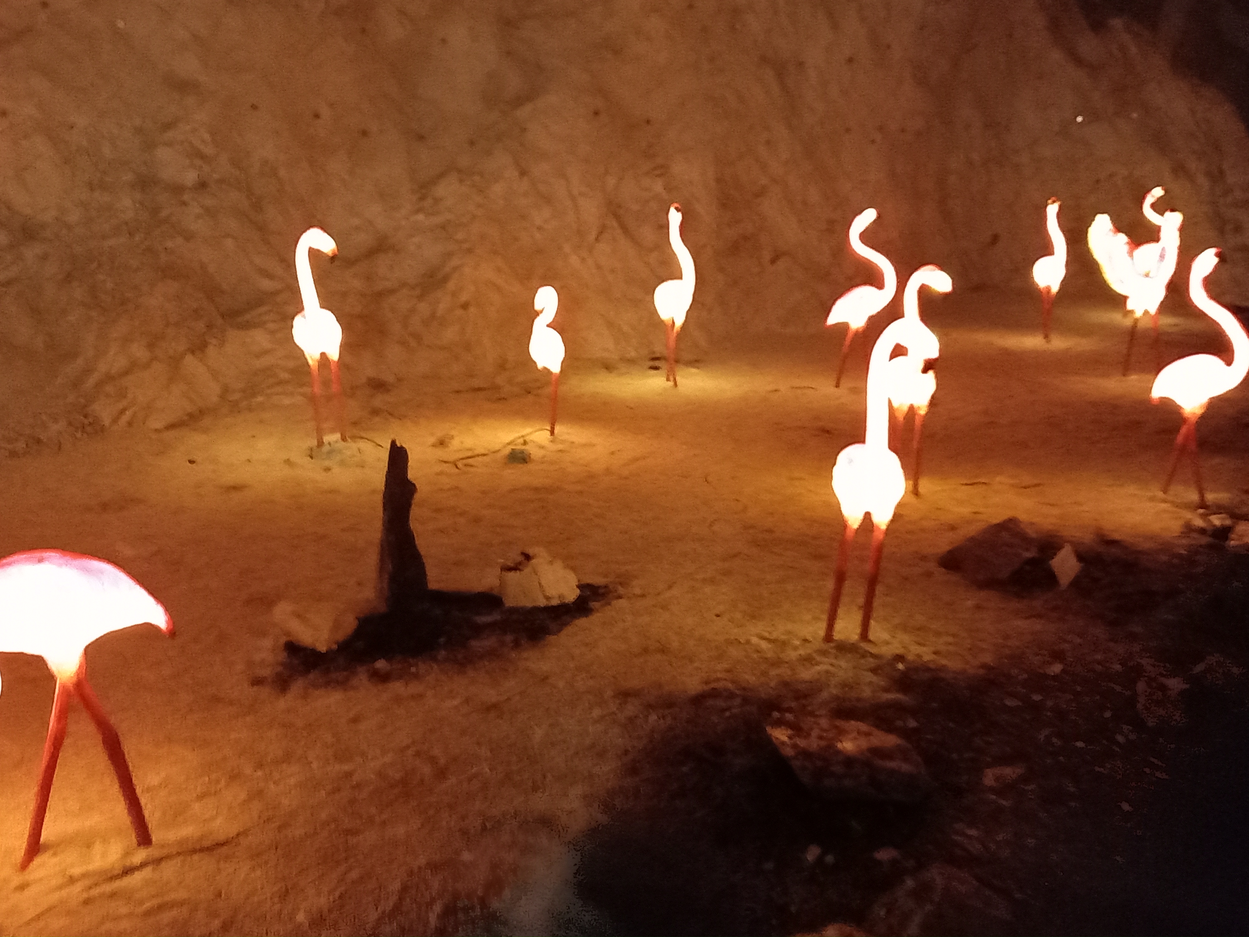 ์ถฉ์ฃผ ํ์ฅ๋๊ตด