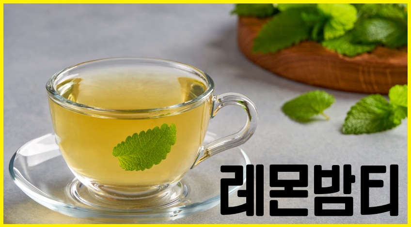 레몬밤차 레몬밤티