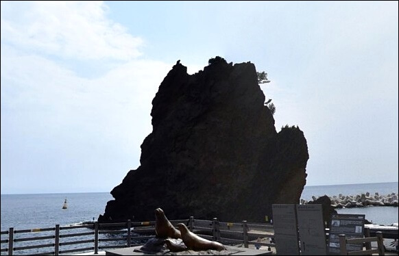 울릉도 거북바위 붕괴