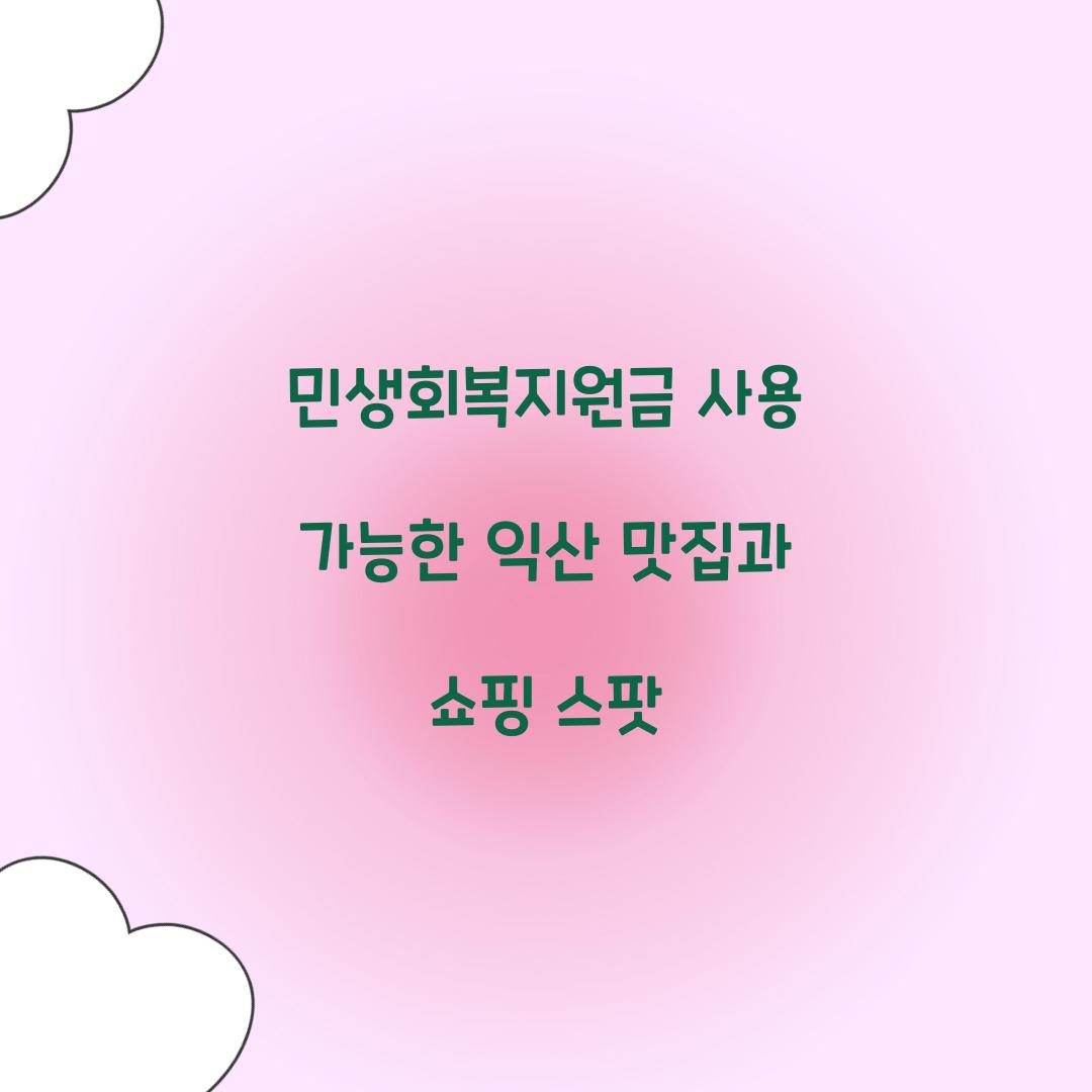 민생회복지원금 사용