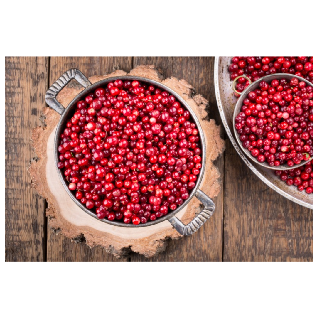 오미자와 관련된 사진입니다.