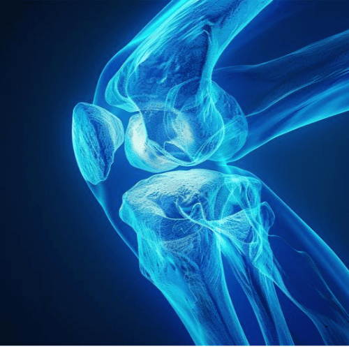 콘드로이친 1200mg 효능 정리: 관절에 정말 도움이 될까?