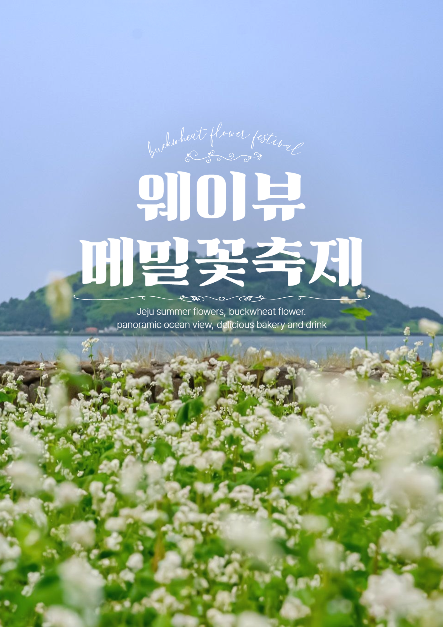 웨이뷰 메밀꽃 축제? 당신만 모르는 ‘이 시기’가 있다