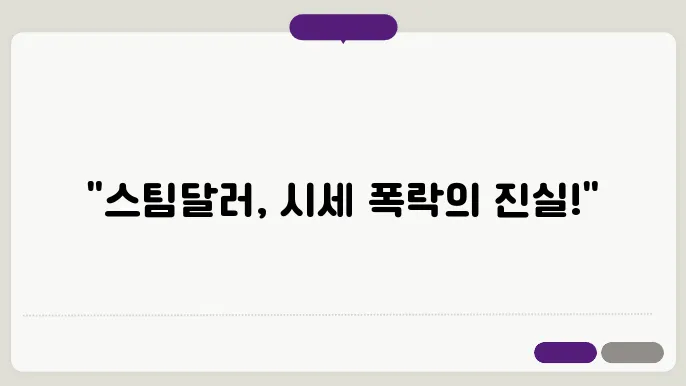 스팀달러 코인 유의종목 지정 이후 시세 전망 파악하기