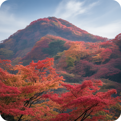 지리산 피아골 단풍축제 단풍절정시기 이미지