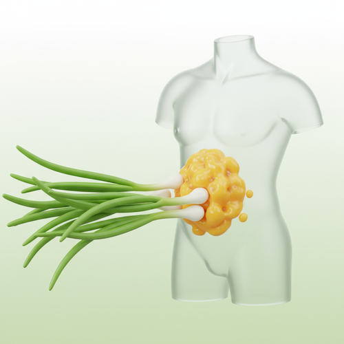 내장지방&amp;#44; 쪽파가 해결할 수 있을까요?