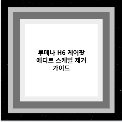 루메나 H6 케어팟 에디르 스케일 제거 가이드