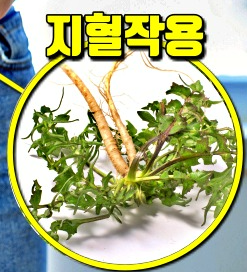3월에 먹으면 좋은 제철 음식(봄철 음식) - 냉이편 (효능, 냉이가 들어가는 음식)