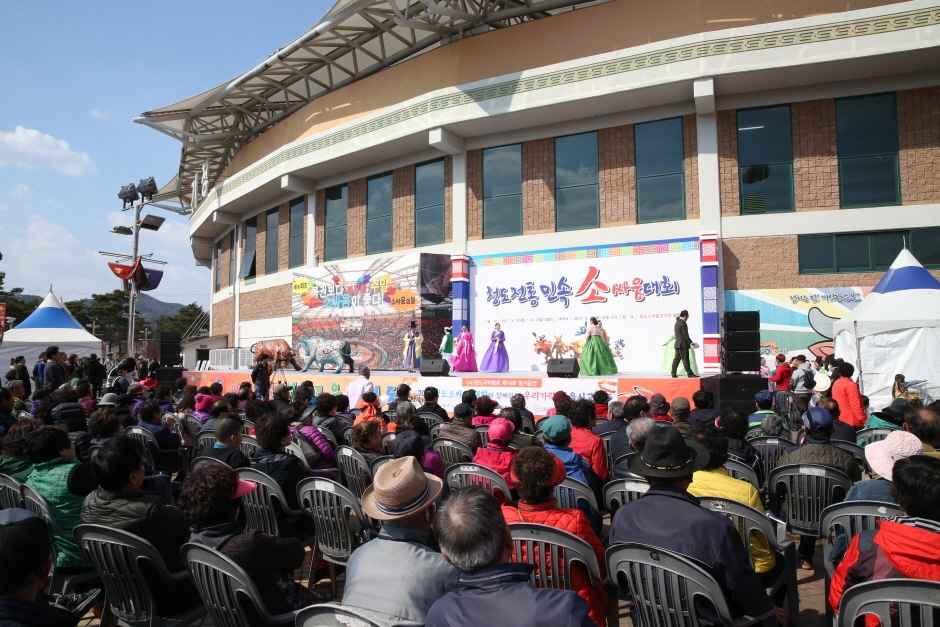 청도 소싸움 경기장