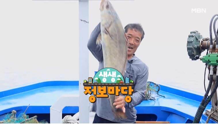 생생정보마당 임자도 민어