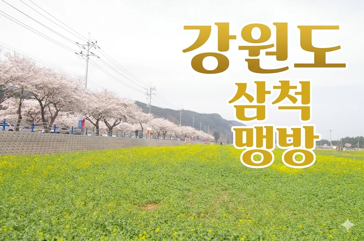 강원도 삼척 맹방 유채꽃 축제 시간 교통 투어