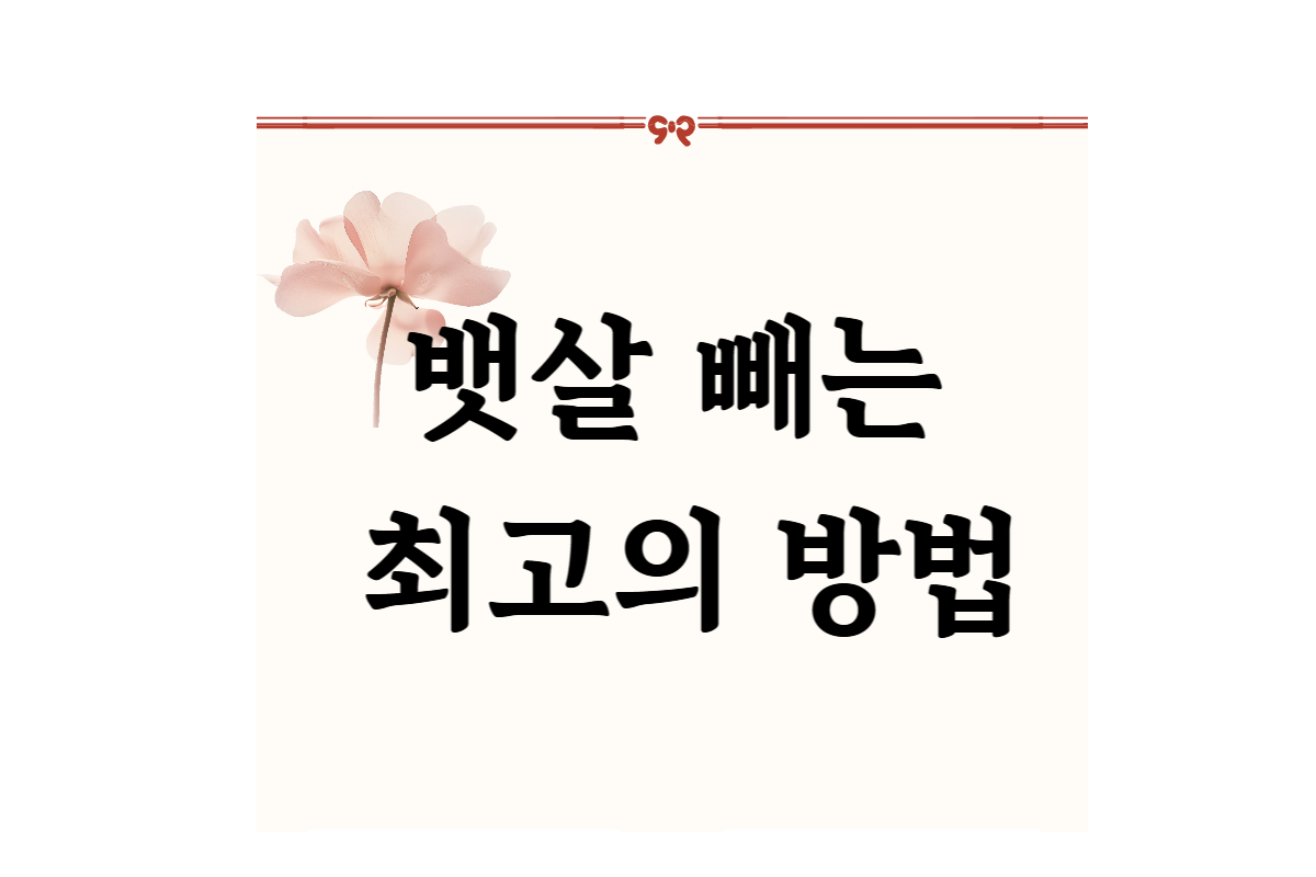 뱃살 빼는 최고의 방법