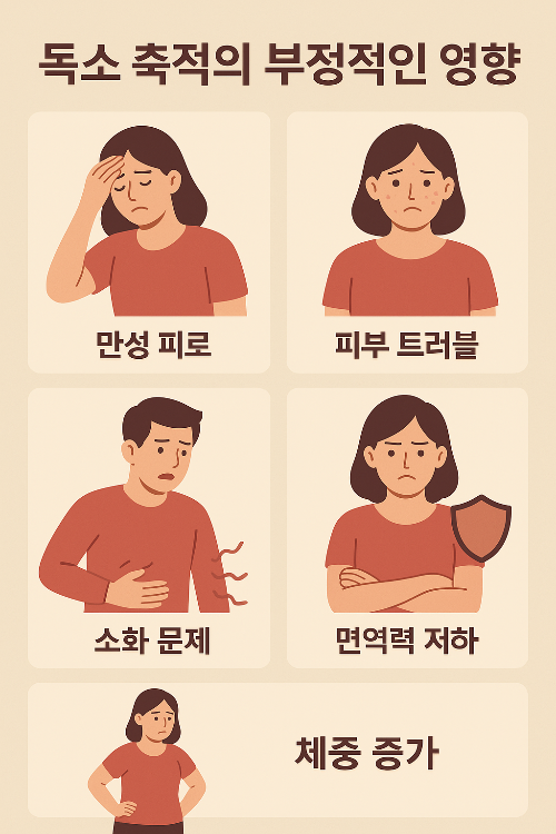 독소 축적의 부정적인 영향