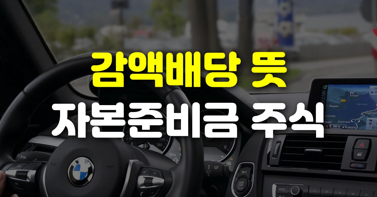 감액배당 뜻 자본준비금 주식
