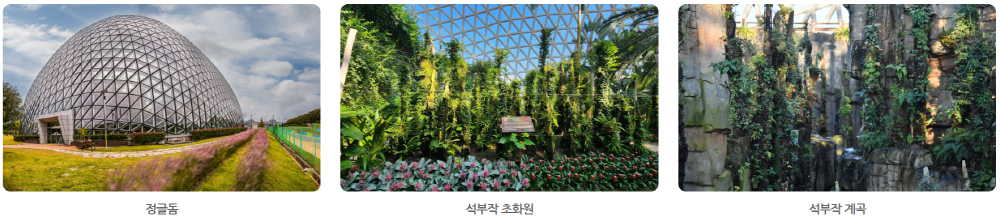 거제 정글돔