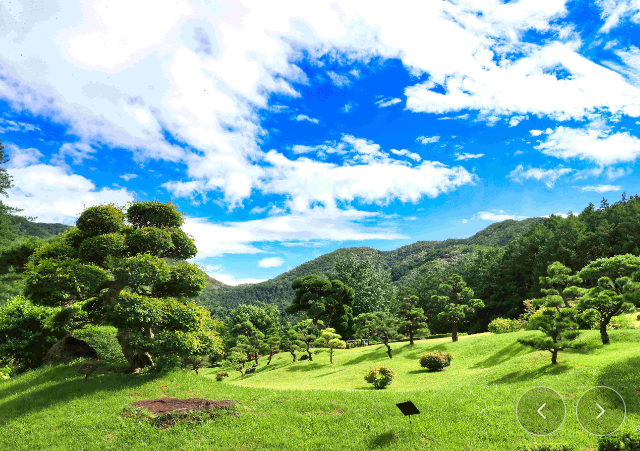 아침고요수목원