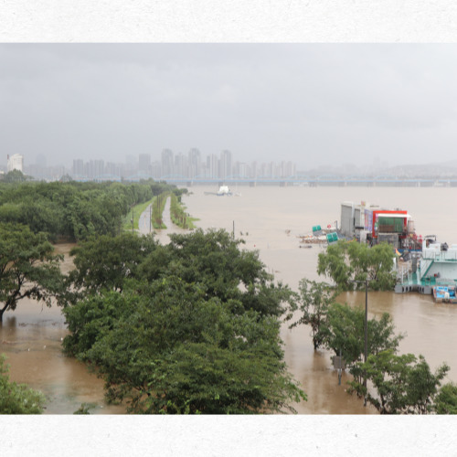 시간당 30mm 이상 폭우 내리는 모습