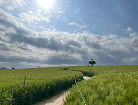 고창 학원 농장 입장료 총정리 관련사진