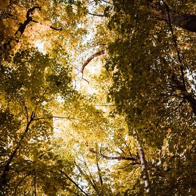 경계성인격장애치료