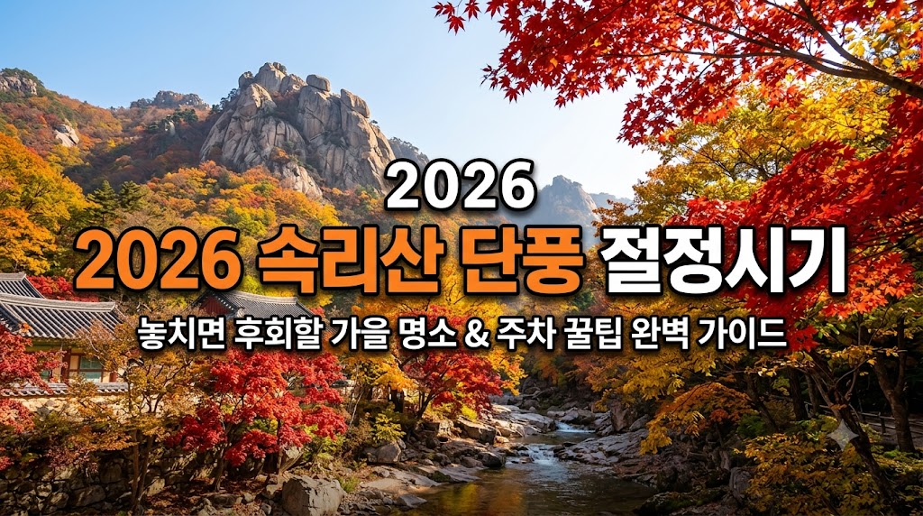 속리산 단풍 절정시기